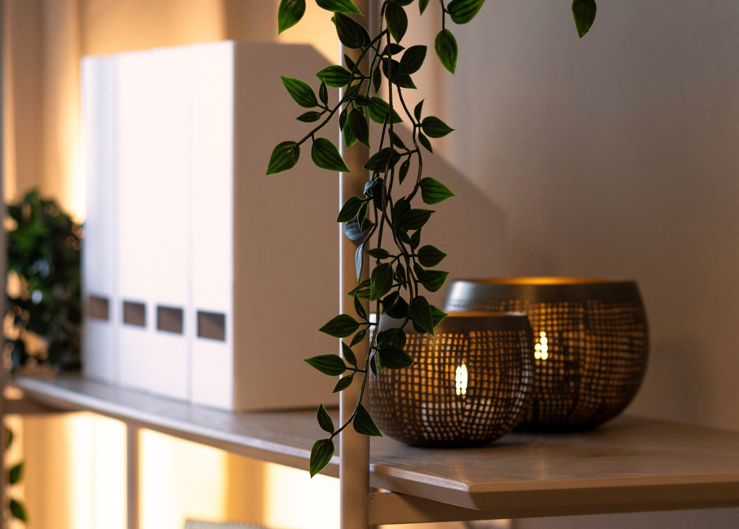 2S2A2368-Edit-Farbe_neu